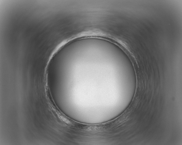 X0000056001366200508190810