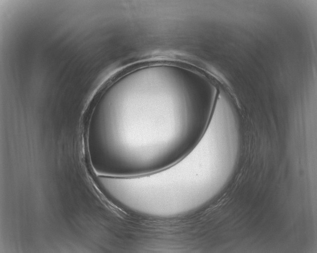 X0000056001368200508190810