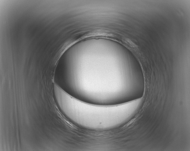 X0000056001369200508190810