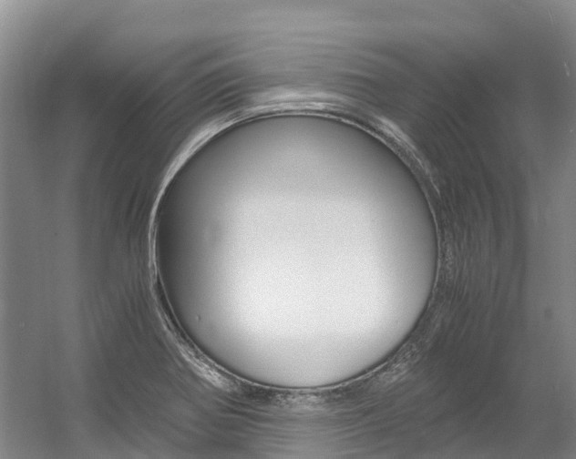 X0000056001370200508190810