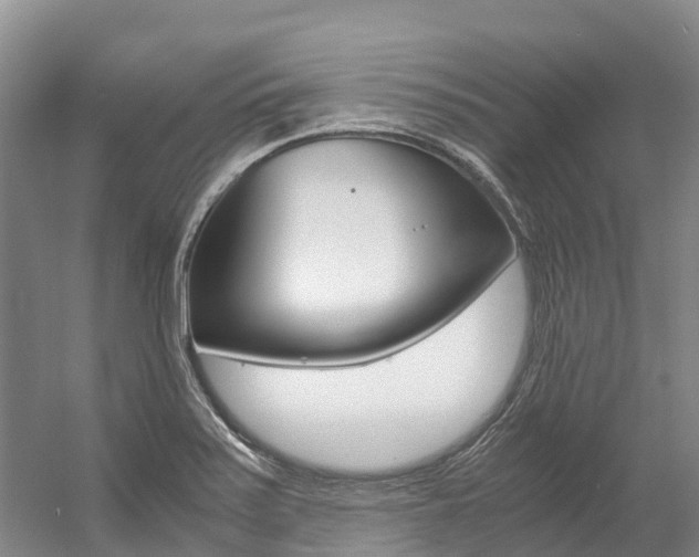 X0000056001371200508190810