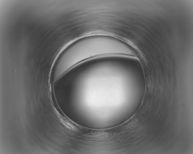 X0000056001372200508190810