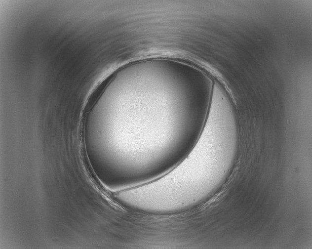 X0000056001373200508190810