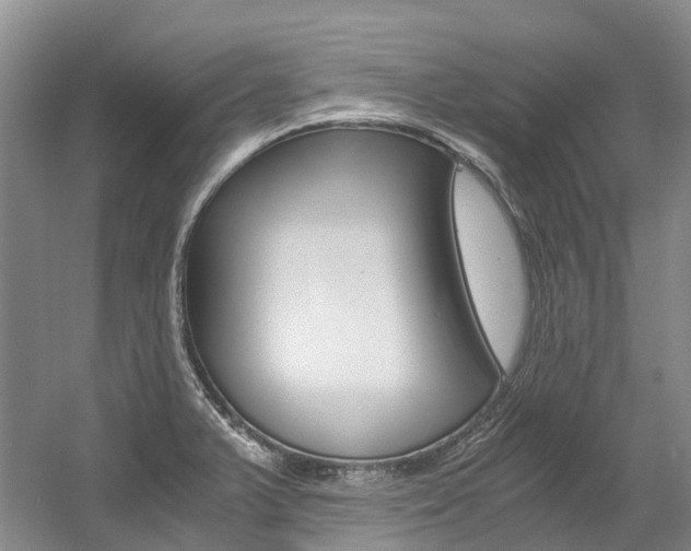 X0000056001375200508190810