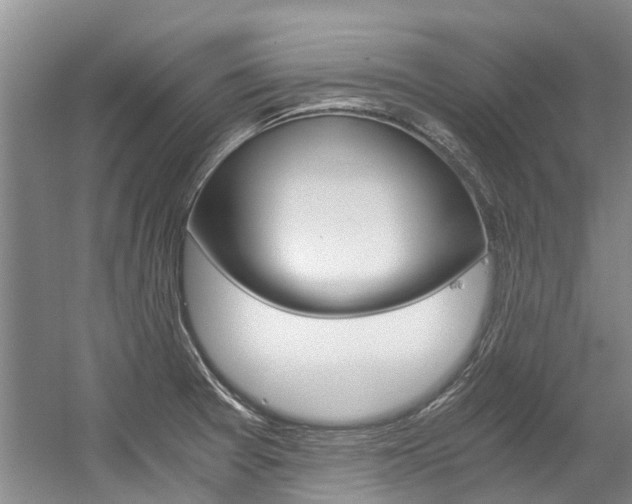 X0000056001377200508190810
