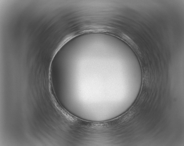 X0000056001378200508190810