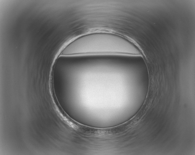 X0000056001379200508190810