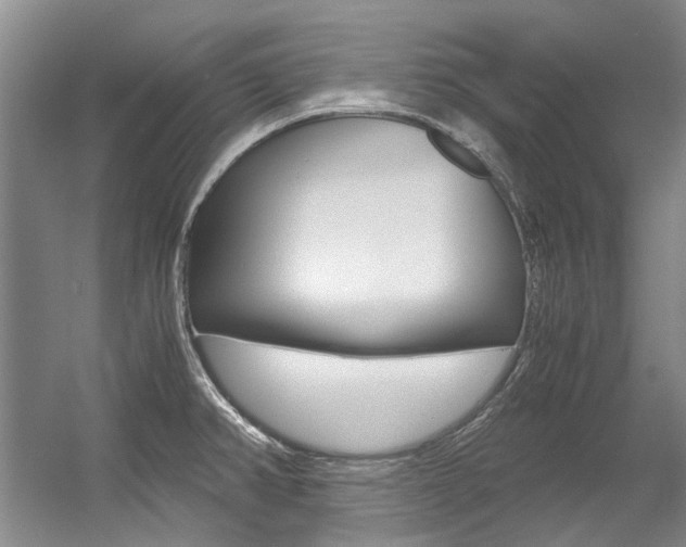 X0000056001382200508190810