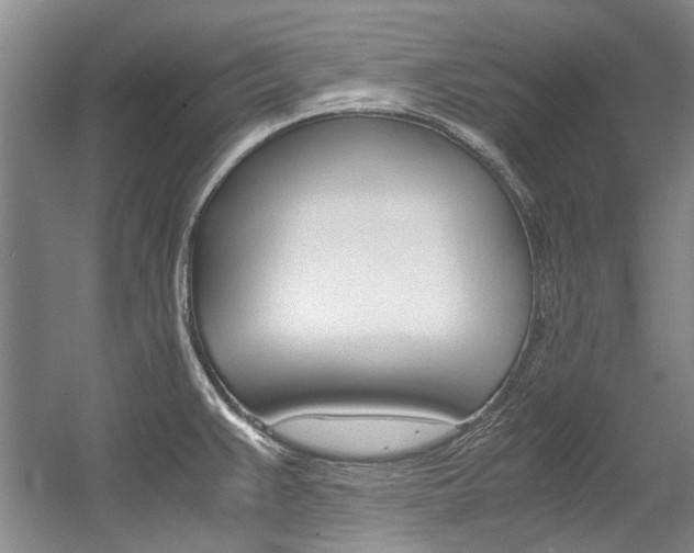 X0000056001383200508190810
