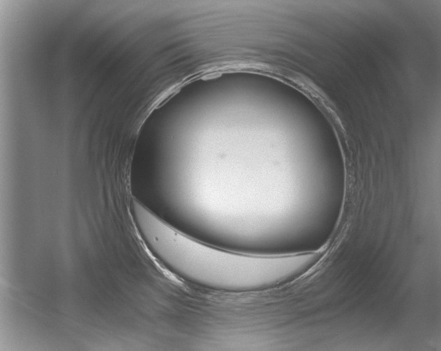 X0000056001385200508190810