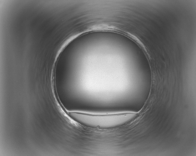 X0000056001387200508190810