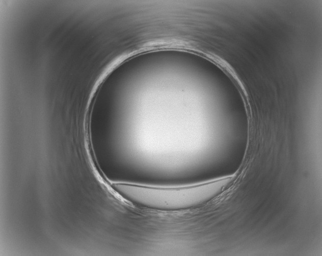 X0000056001389200508190810
