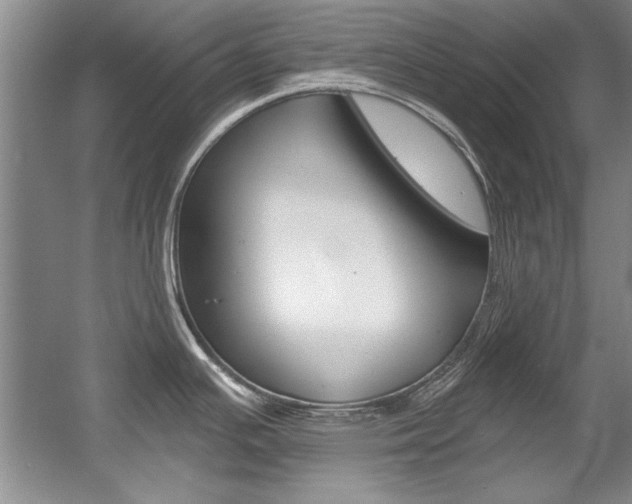 X0000056001391200508190810