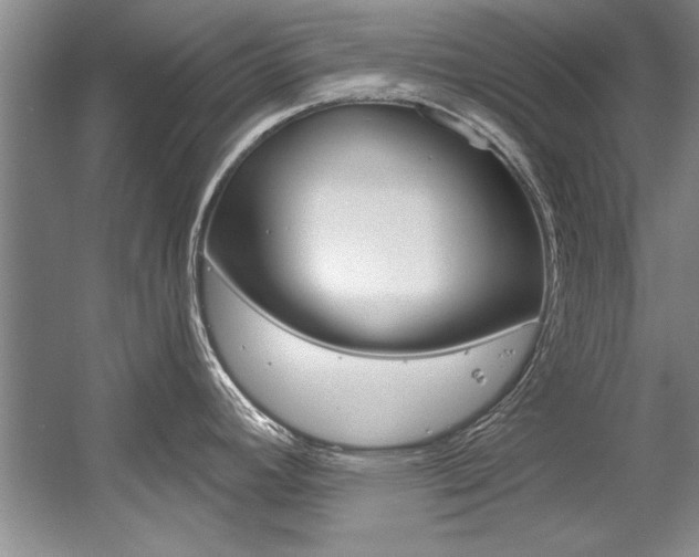 X0000056001392200508190810