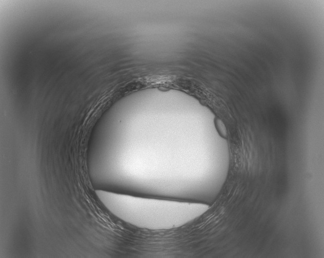 X0000056001393200508190809