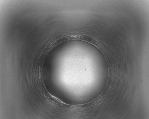 X0000056001394200508190809