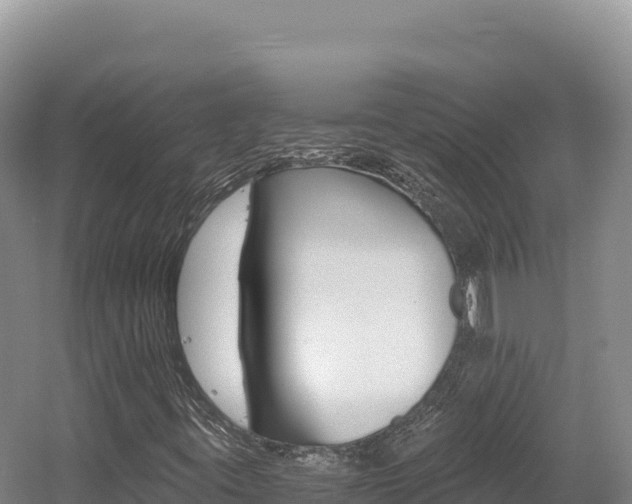 X0000056001395200508190809