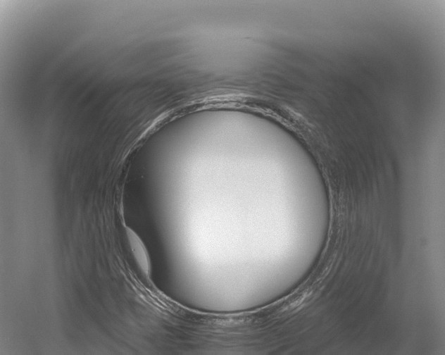 X0000056001401200508190809