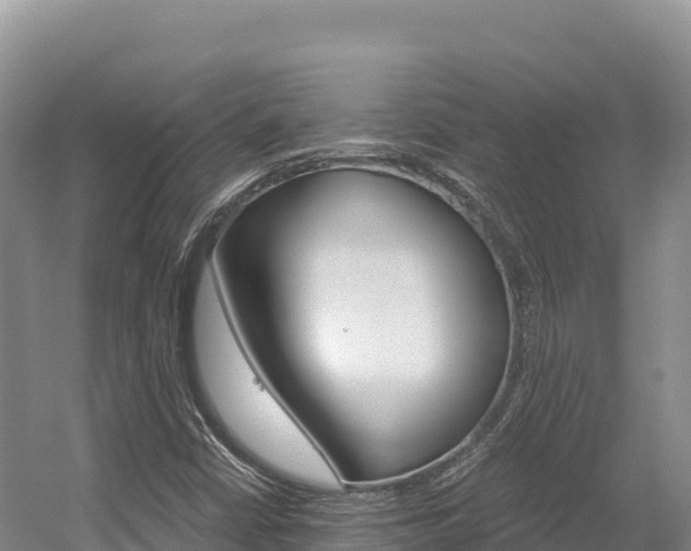 X0000056001402200508190809