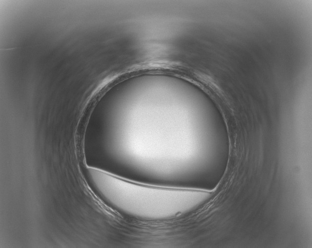 X0000056001404200508190809