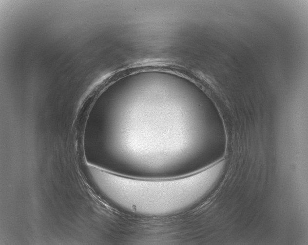 X0000056001406200508190809