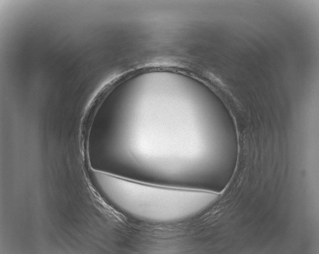 X0000056001408200508190809