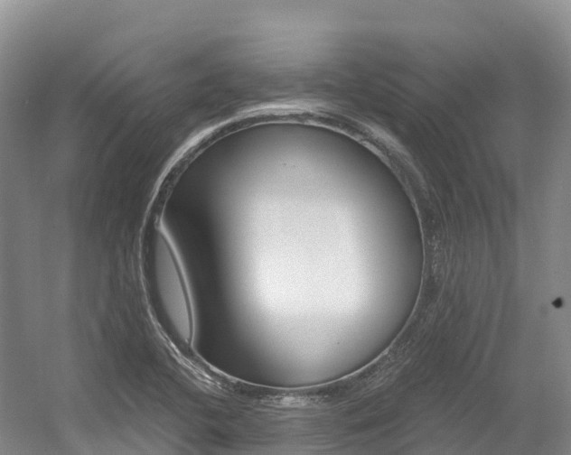 X0000056001412200508190809