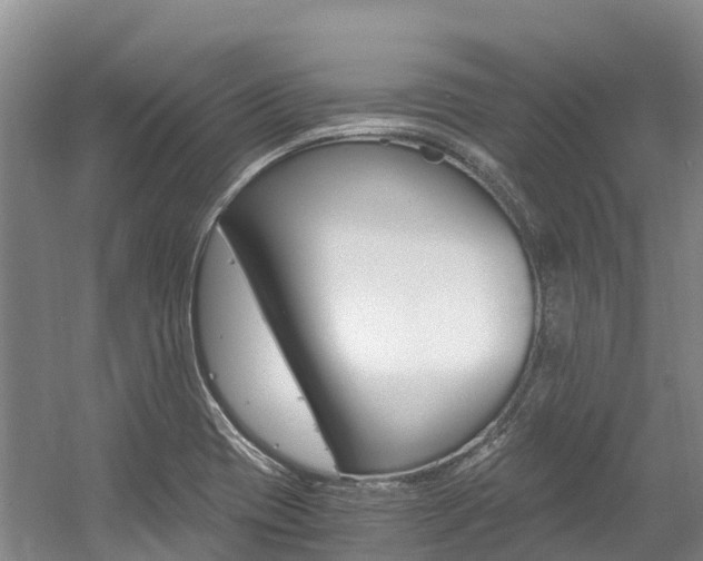 X0000056001417200508190809