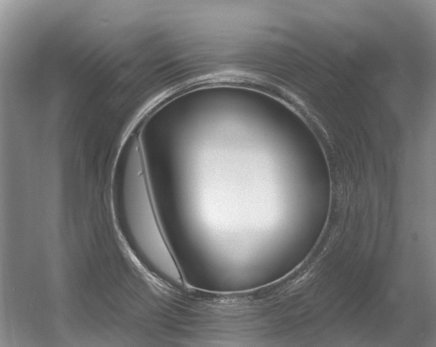 X0000056001418200508190809
