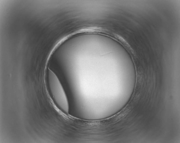 X0000056001421200508190809