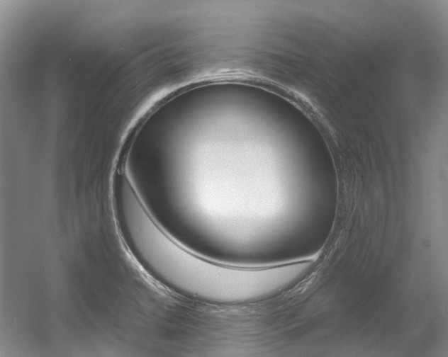 X0000056001422200508190810