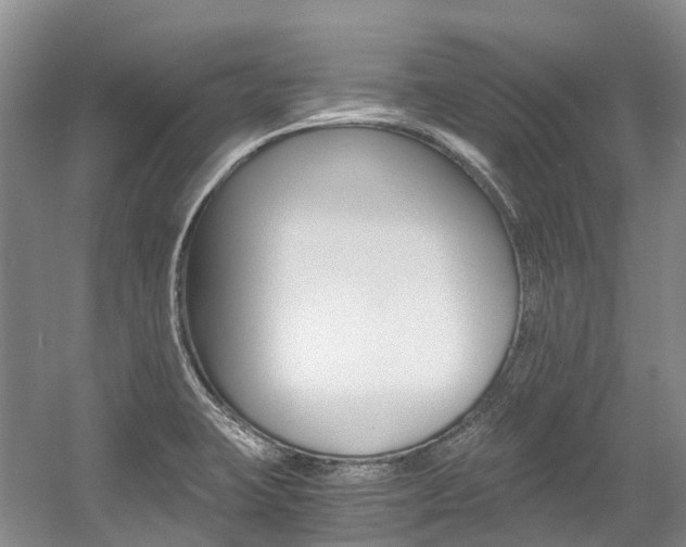X0000056001423200508190810