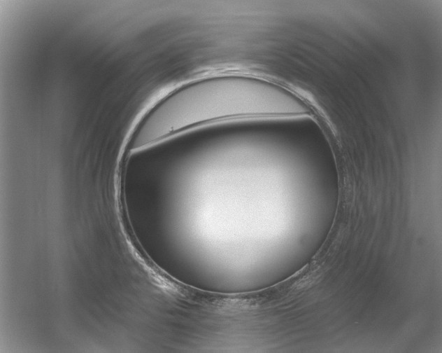 X0000056001424200508190810