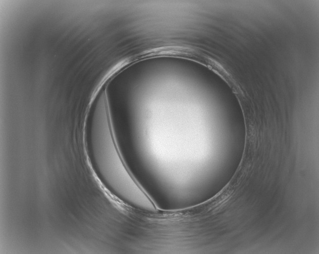 X0000056001426200508190810