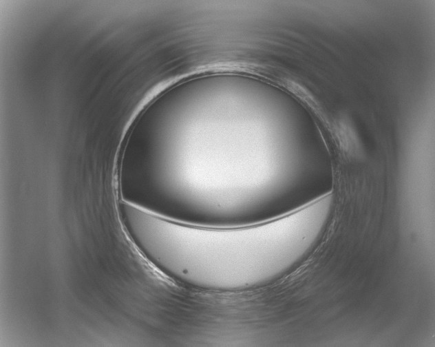 X0000056001428200508190810