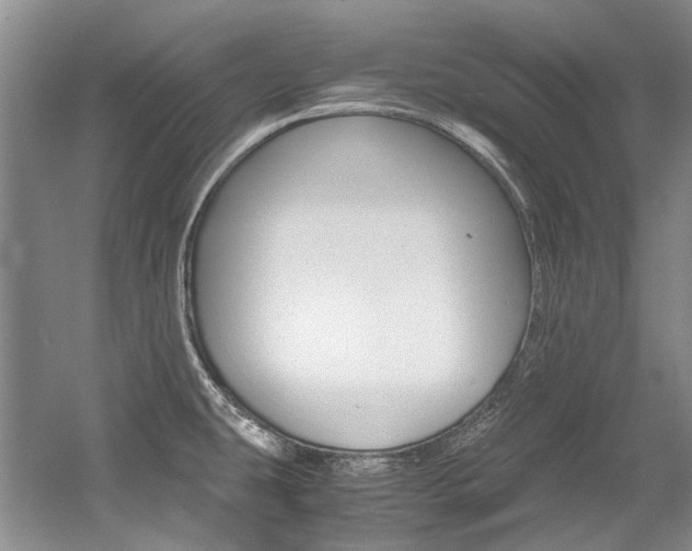 X0000056001431200508190810