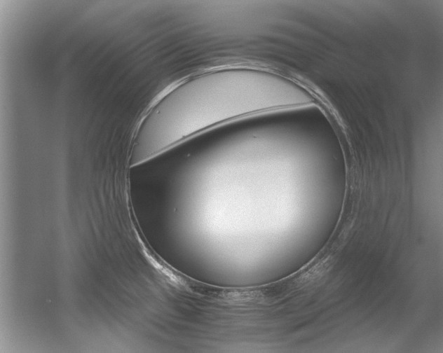 X0000056001433200508190810