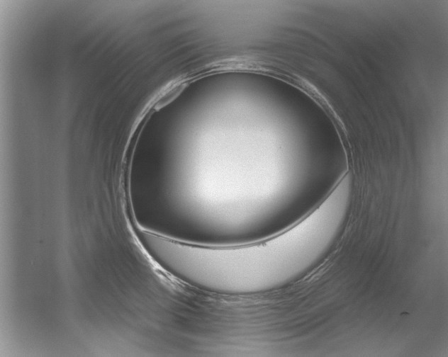 X0000056001434200508190810