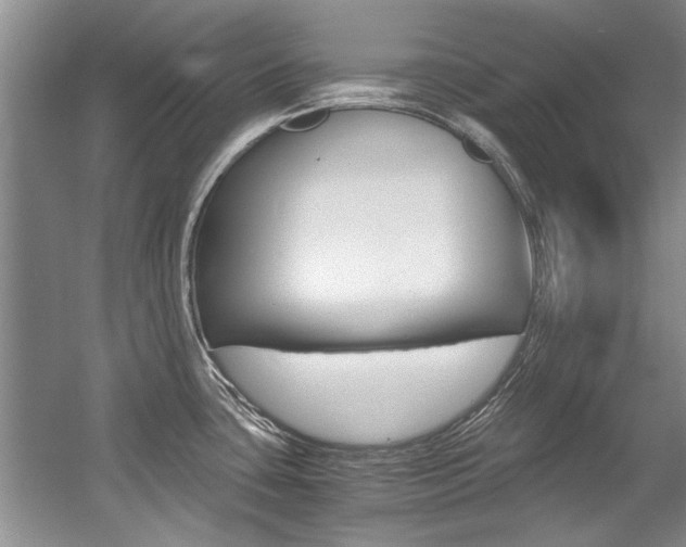 X0000056001435200508190810