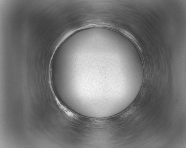 X0000056001439200508190810