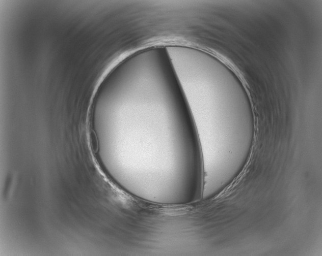 X0000056001440200508190810