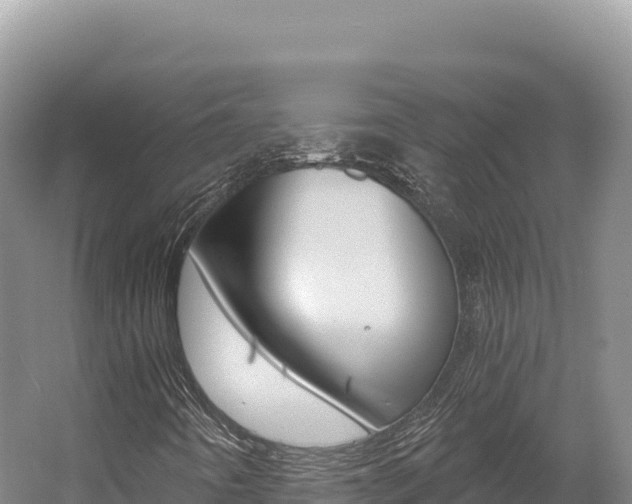 X0000056001442200508190809