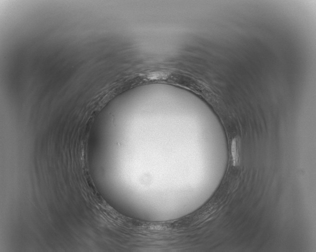 X0000056001443200508190809