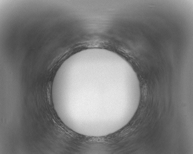 X0000056001446200508190809