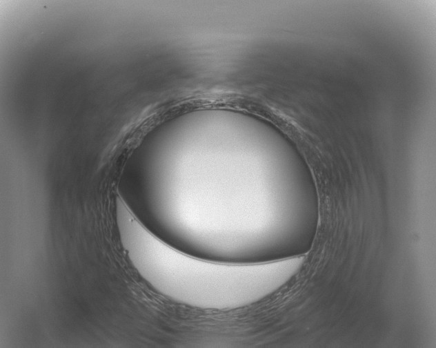 X0000056001447200508190809