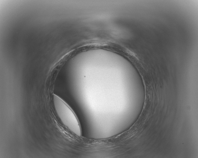 X0000056001448200508190809