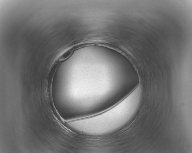 X0000056001452200508190809