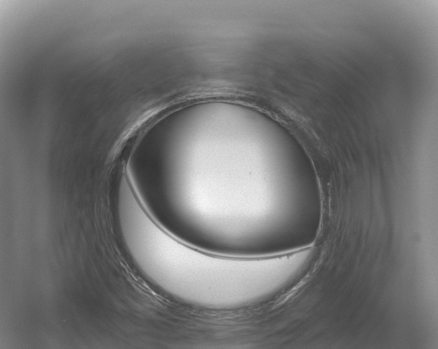 X0000056001453200508190809