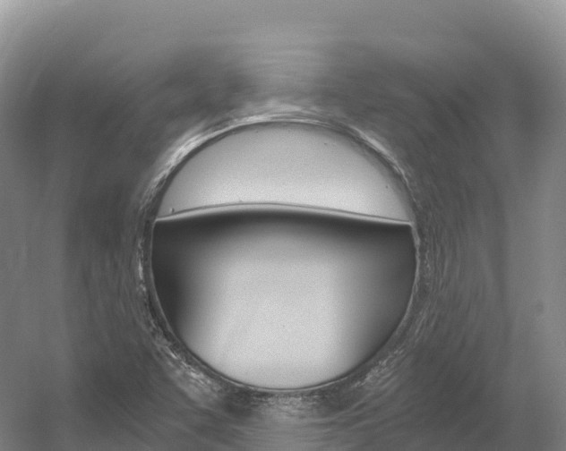 X0000056001455200508190809