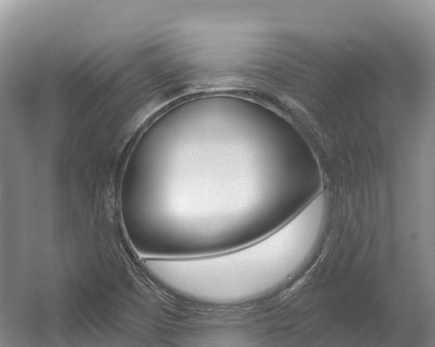 X0000056001457200508190809